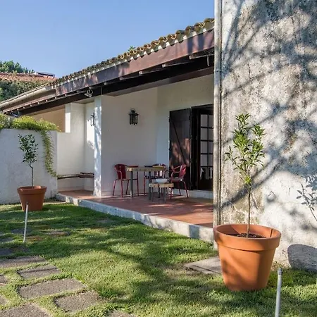 Casa Marinhas - Grande Exclusiva Na 10' Do Porto Villa