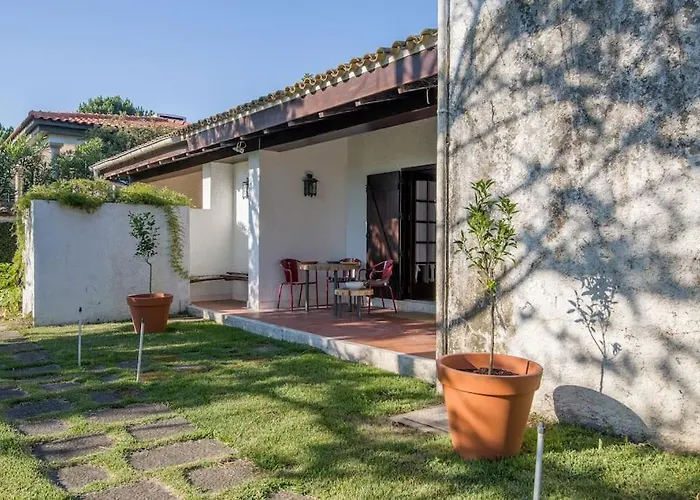 Casa Marinhas - Grande Exclusiva Na 10' Do Porto 빌라